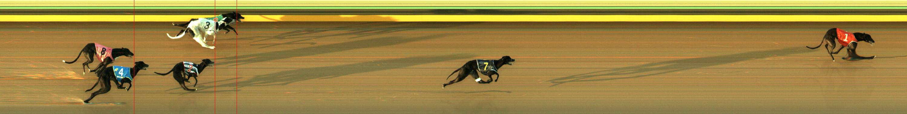 Race result finish photo